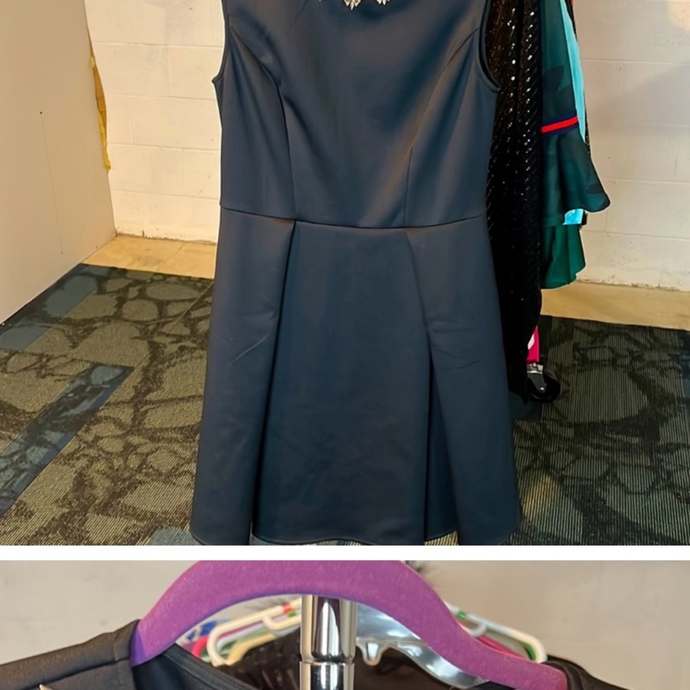 Ted Baker Trinni Dress, size 4 which is US size 10. Missing belt.